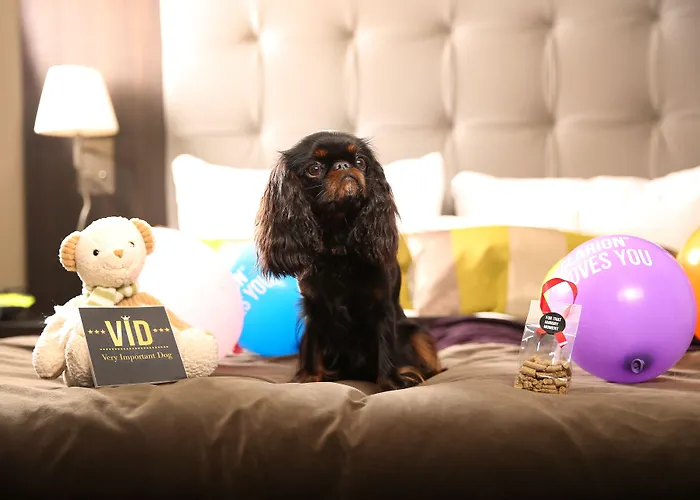 Otel Clarion Airport 4*